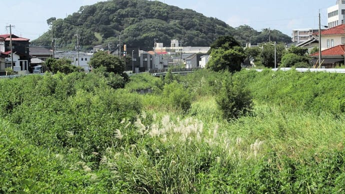 鹿部山付近