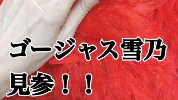ゴージャス雪乃 見参!!