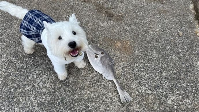 ちーちゃんの