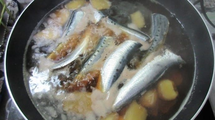 安かったからね、鰯が