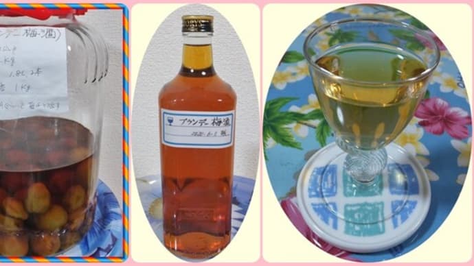ブランデー梅酒 出来上がり