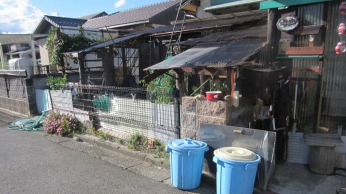 589.別れは悲しいことではなく、より多く経験すべきことだ