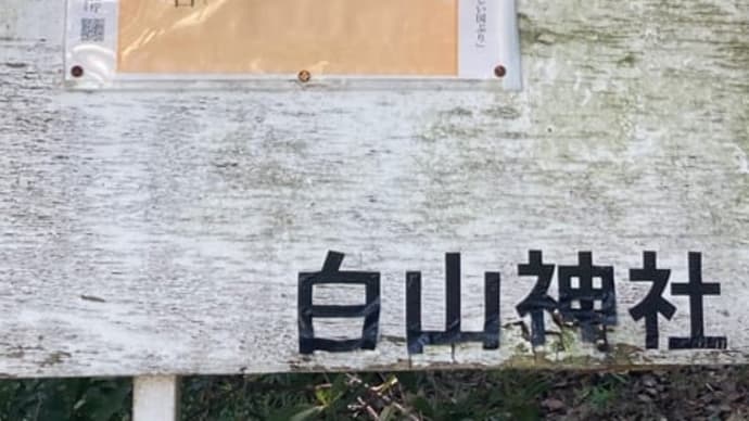 【閲覧注意!虫(死骸も)の写真が御座います。】鎮・散歩その1「八王子白山神社」〜人類よ、気づけよ、気を配れよ、自然に、自然に元気を与えよ。〜