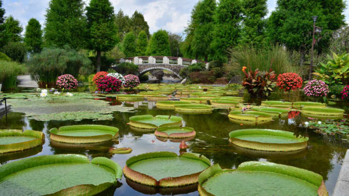 草津市立水生植物公園みずの森9月13日