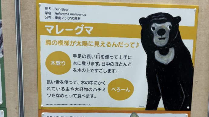 熊本地震の募金で出来た 動物の表示