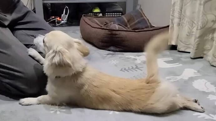 クネクネな子