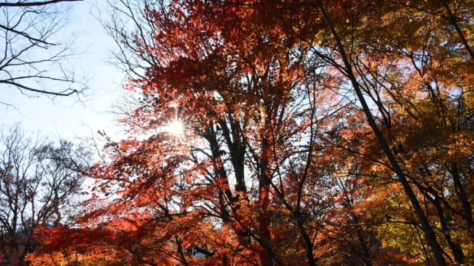 旧碓氷峠の紅葉