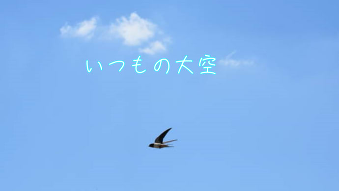 いつもの大空