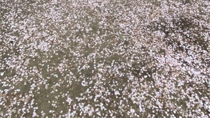 緑だけでなく