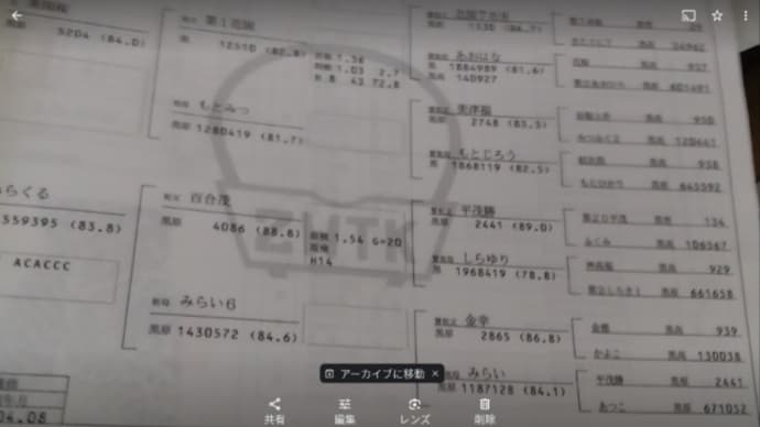 2023/11/28 みーちゃん①、りーちゃん一族は有名種雄牛の近親ダーっ。