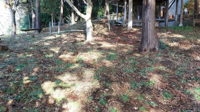古墳公園管理作業