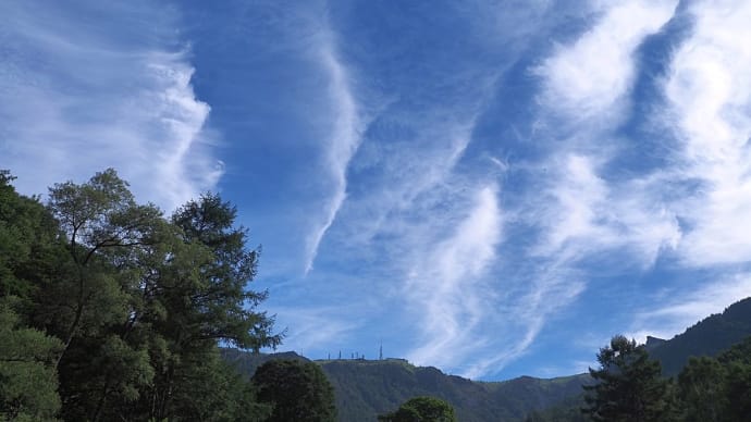 ★夏の里山で見る花や実・清らかな筋雲　2021