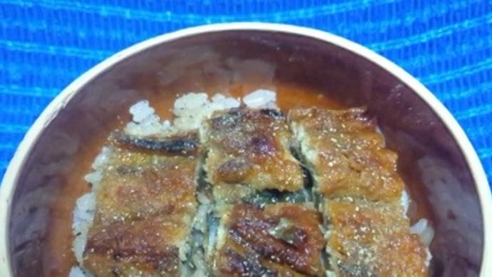 【06/02昼食】三重県産鰻蒲焼頭側でミニ鰻丼っ!><