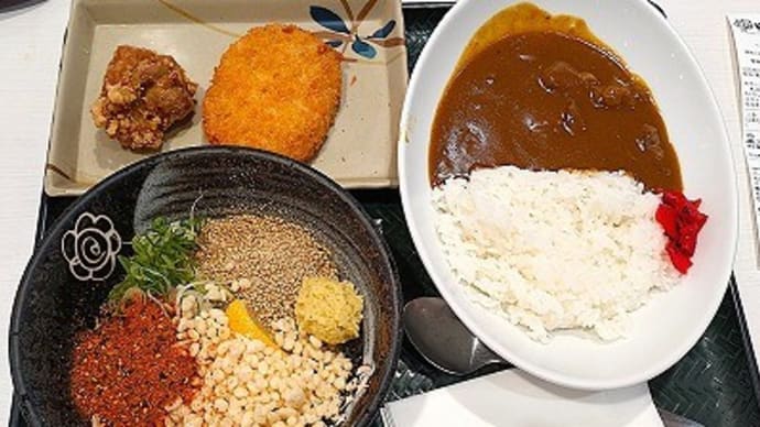 はなまるブランチ後血抜いて色々もらい晩は練物まつりでクルミも復活