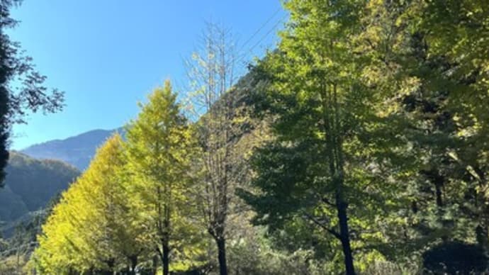 長瀞、紅葉ドライブ