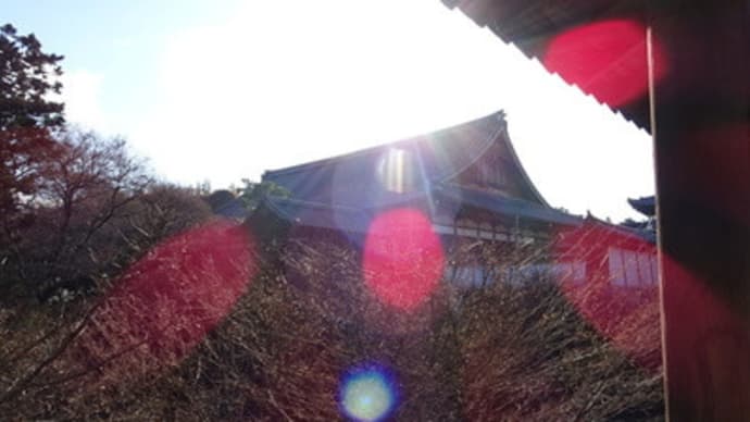 東福寺、冬の朝