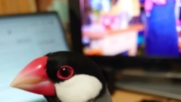 隔離終了