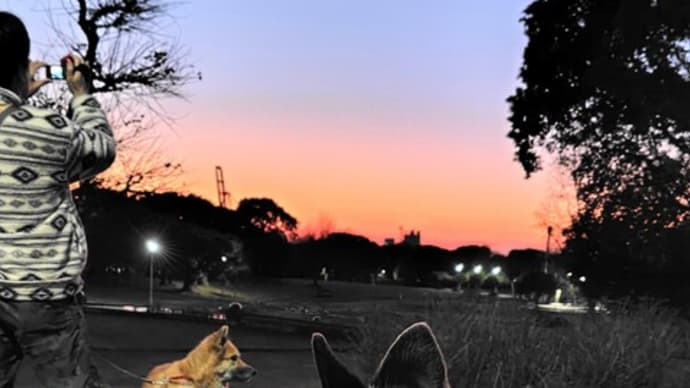 夕景を 楽しむ散歩 愛犬と…