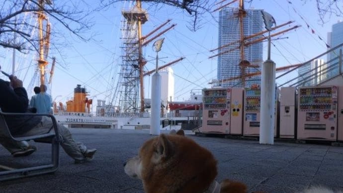 わんわんわんわん ペット博だわん! しつけって何??