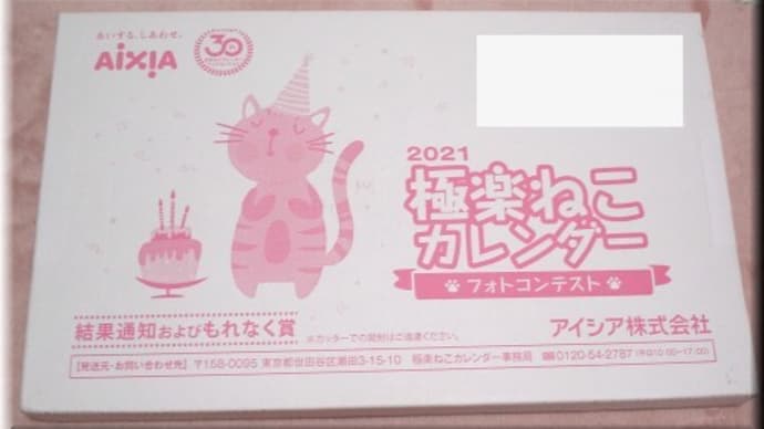 極楽ねこ結果発表