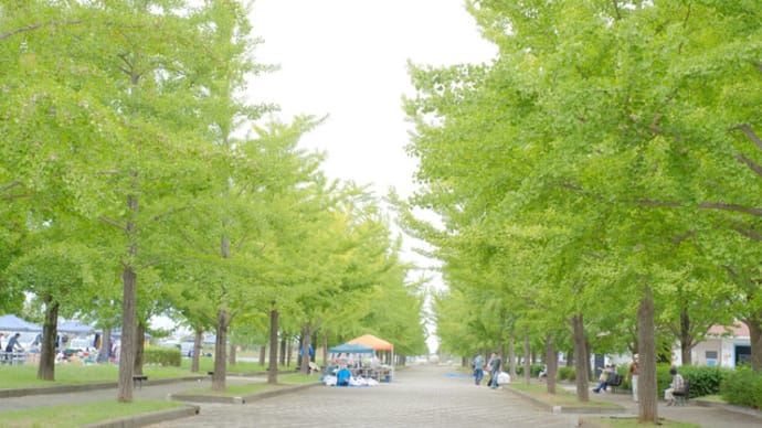 sakeの歩窓から(加須はなさき公園を散歩)