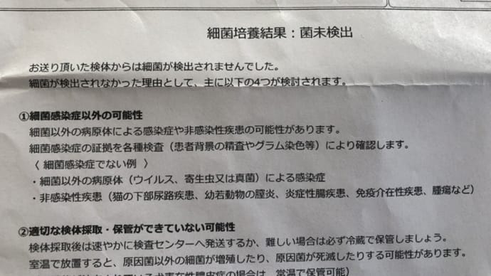 なな、細菌検査の結果が出ました。