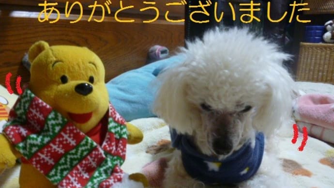 今年もあと少し…ありがとうございました <(_ _*)> 去年のラスさん振り返り…