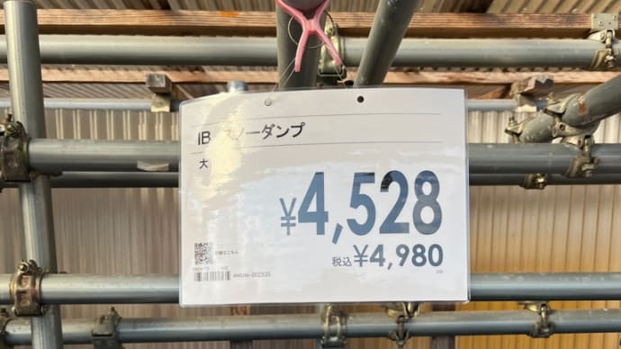 爆走スノーダンプ!