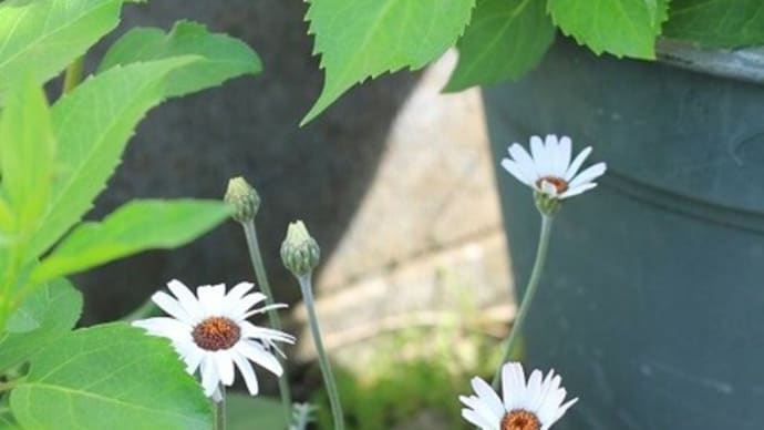 みんな春を楽しんで