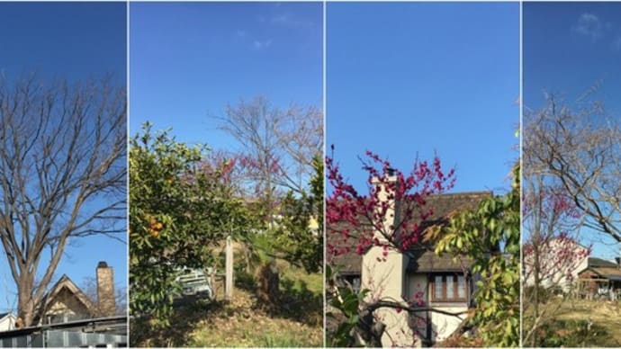 入社三週目;きょうは 激しい雨模様(ノ_・。)