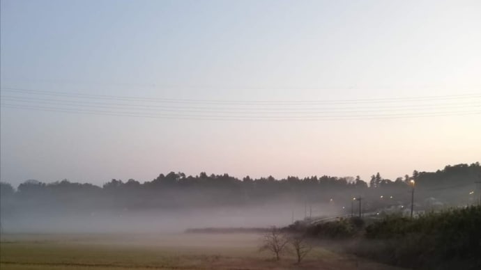 Nostalgia in mist