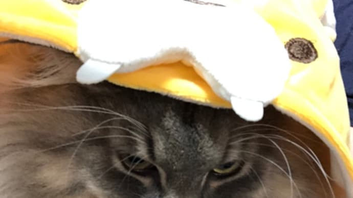 なんとか