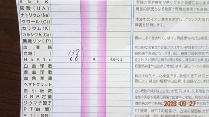 糖値