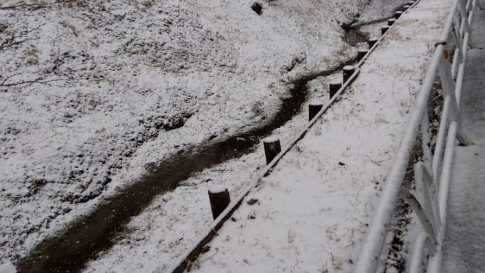 ガスストーブが止まる　雪は予報通り