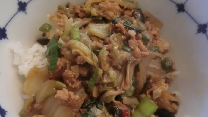 花椒を使いたくて使いたくて 麻婆白菜にいたしました。