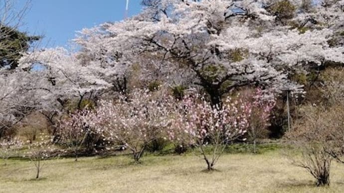 陽光溢れて