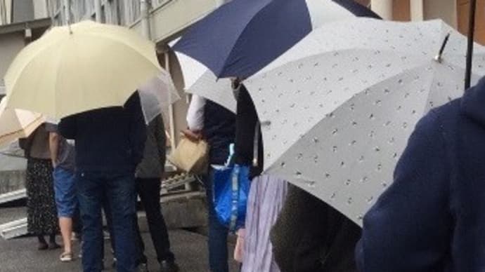 投票に行ってきましたが、行列が長い!