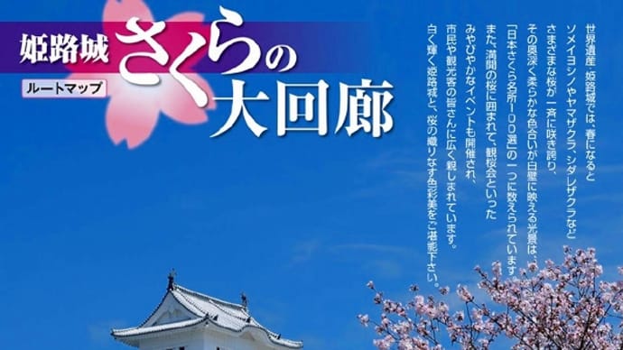 姫路城桜の大回廊