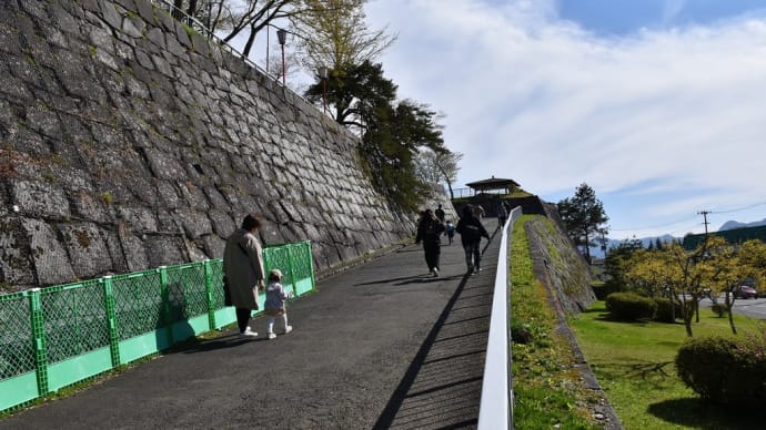 さくら狩り 岩手県盛岡市 盛岡さくらまつり2022 盛岡城跡公園(2)腰曲輪(こしぐるわ)