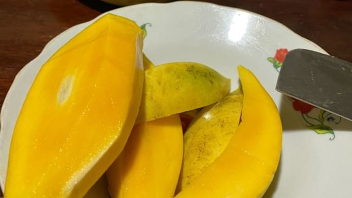 博物館でヤッてはいけないこと、なーんだ?