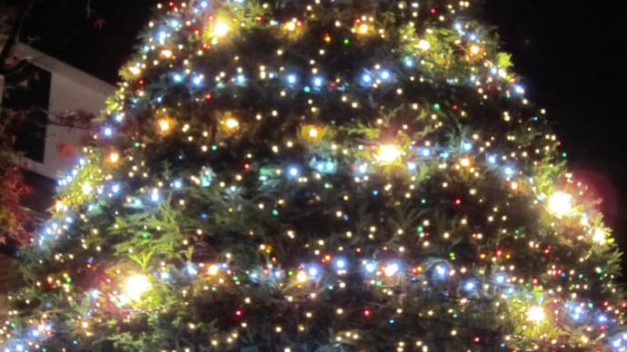 ウォーキングコースのクリスマスツリー