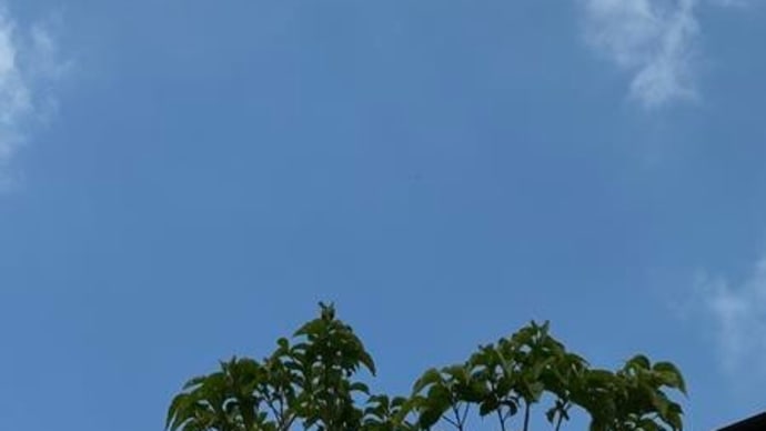 それは日本の文化ではない！