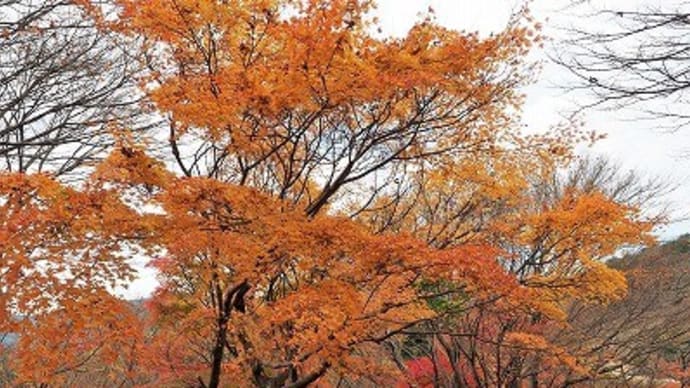 中間平緑地公園へも