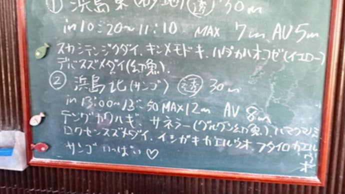 本日のダイビングログ