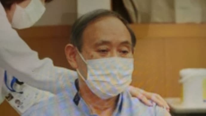 ダミーの使用による567ワクチンの効果の検証