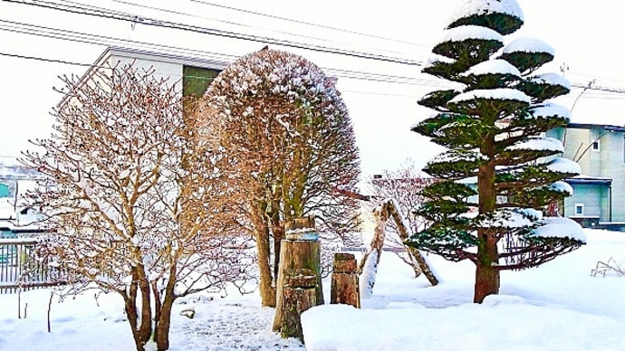 三つの低気圧の通過で、北海道釧路では雪が降りました