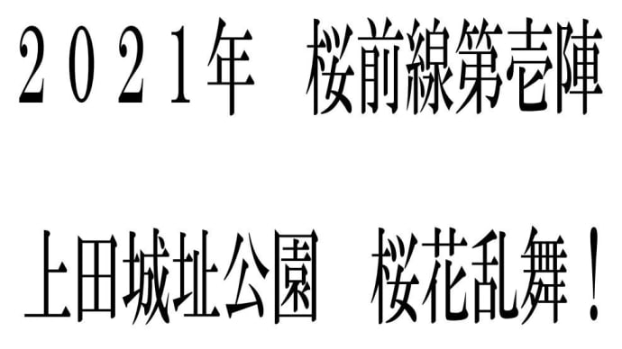 上田市 桜前線第壱陣~上田城址公園4月前に満開を迎える!