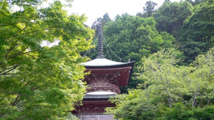 京都:再び嵯峨野へ!