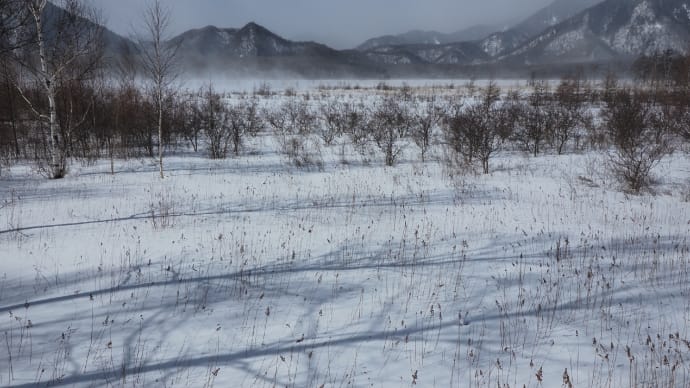 戦場ヶ原地吹雪散策