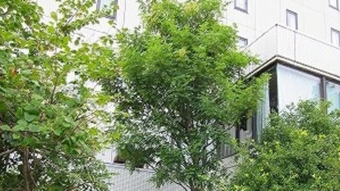 2000K走ってきました!! (4)